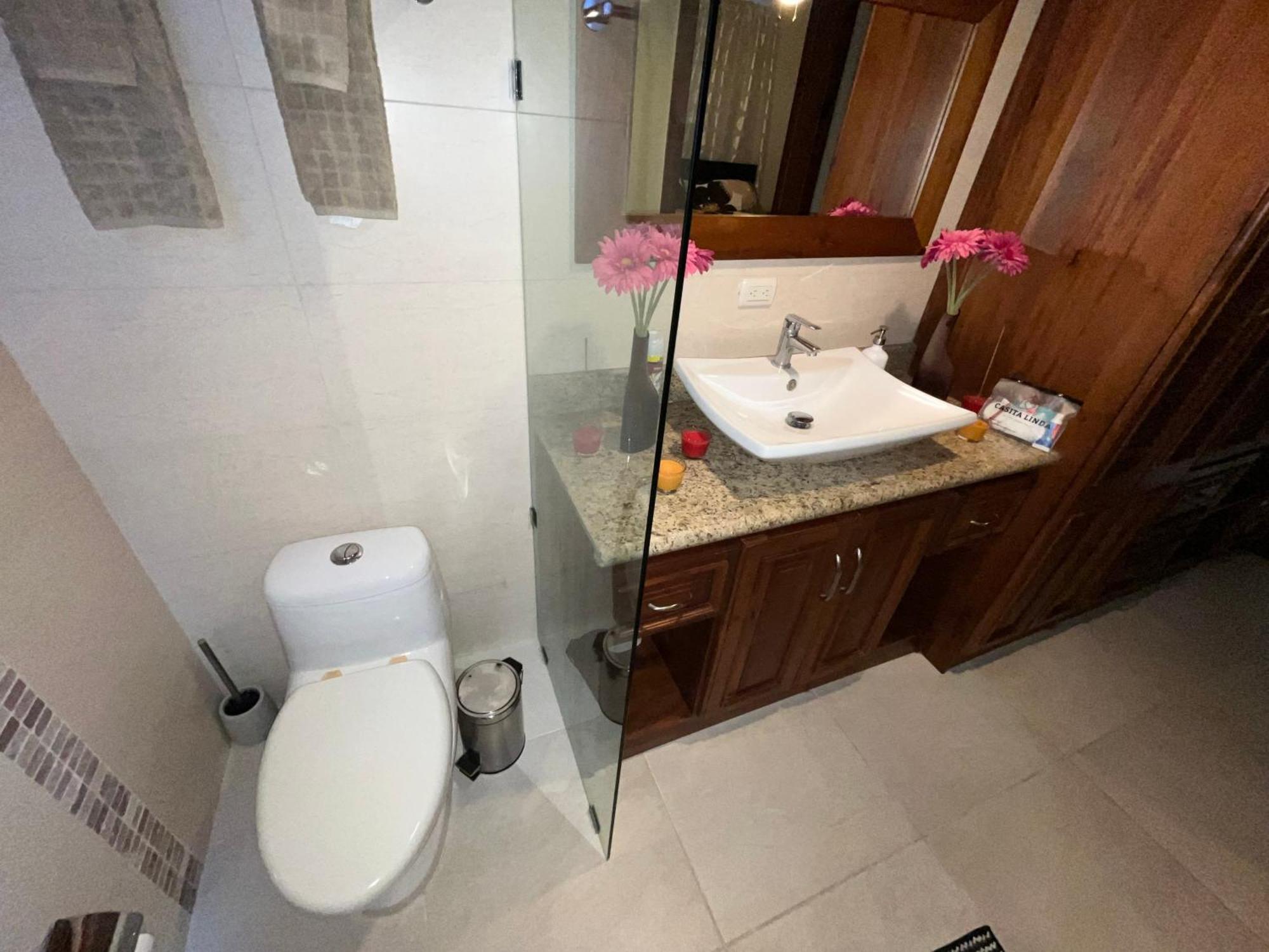 Apartment Luxury Penthouse With Pool, Bbq, Ac, Wi-fi, 5-min Walk To El Cortecito & Bavaro Beaches, *