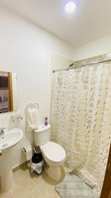 Amazing And Cozy Located In Downtown Of Apartment *