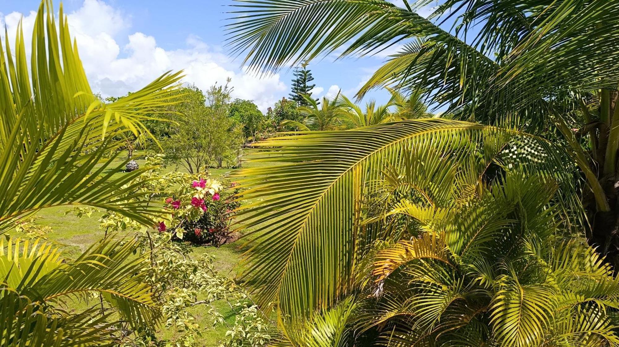 Lodge Lodges & Camping Macao Beach Bavaro Punta Cana