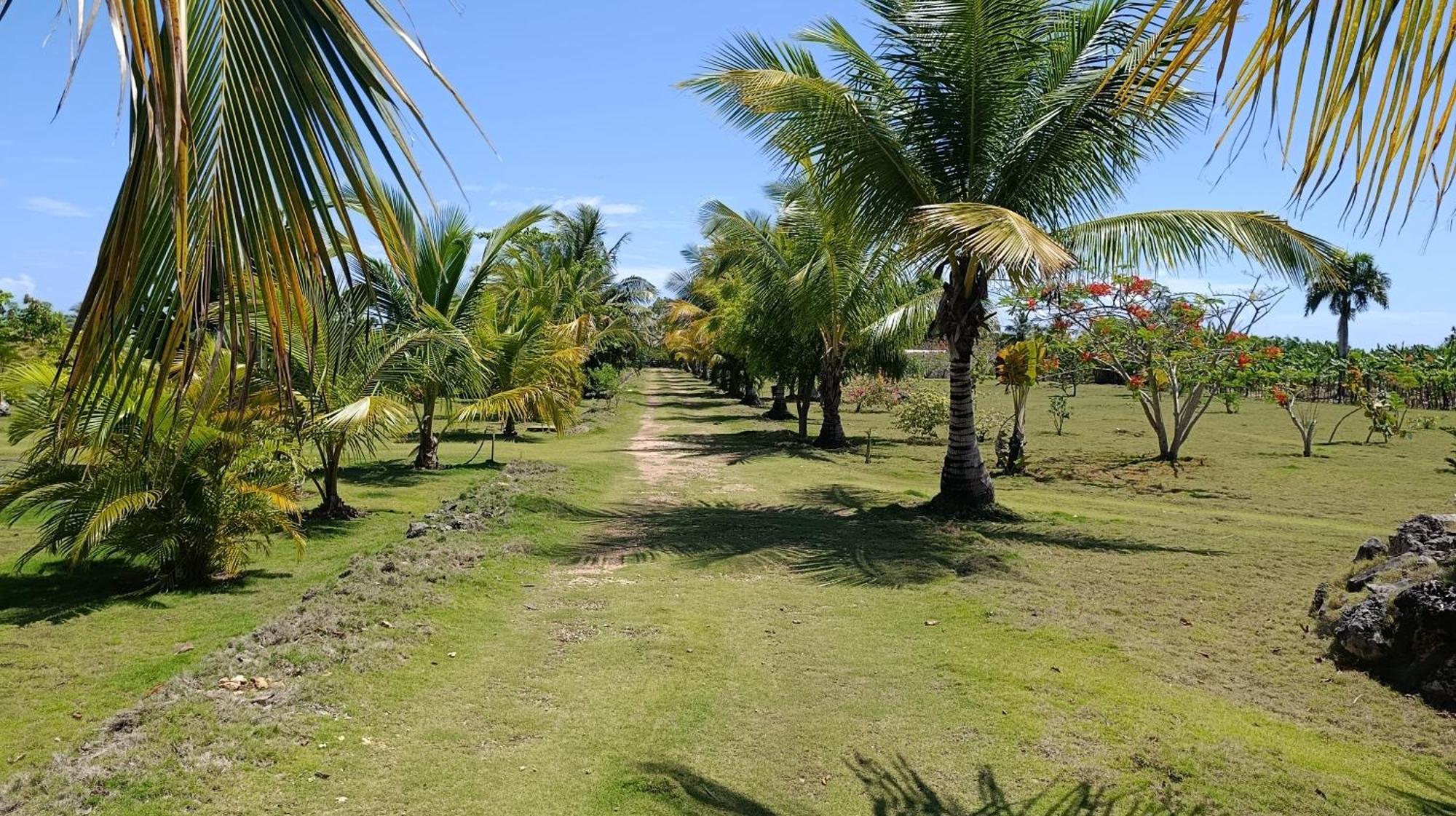 Lodges & Camping Macao Beach Bavaro Punta Cana