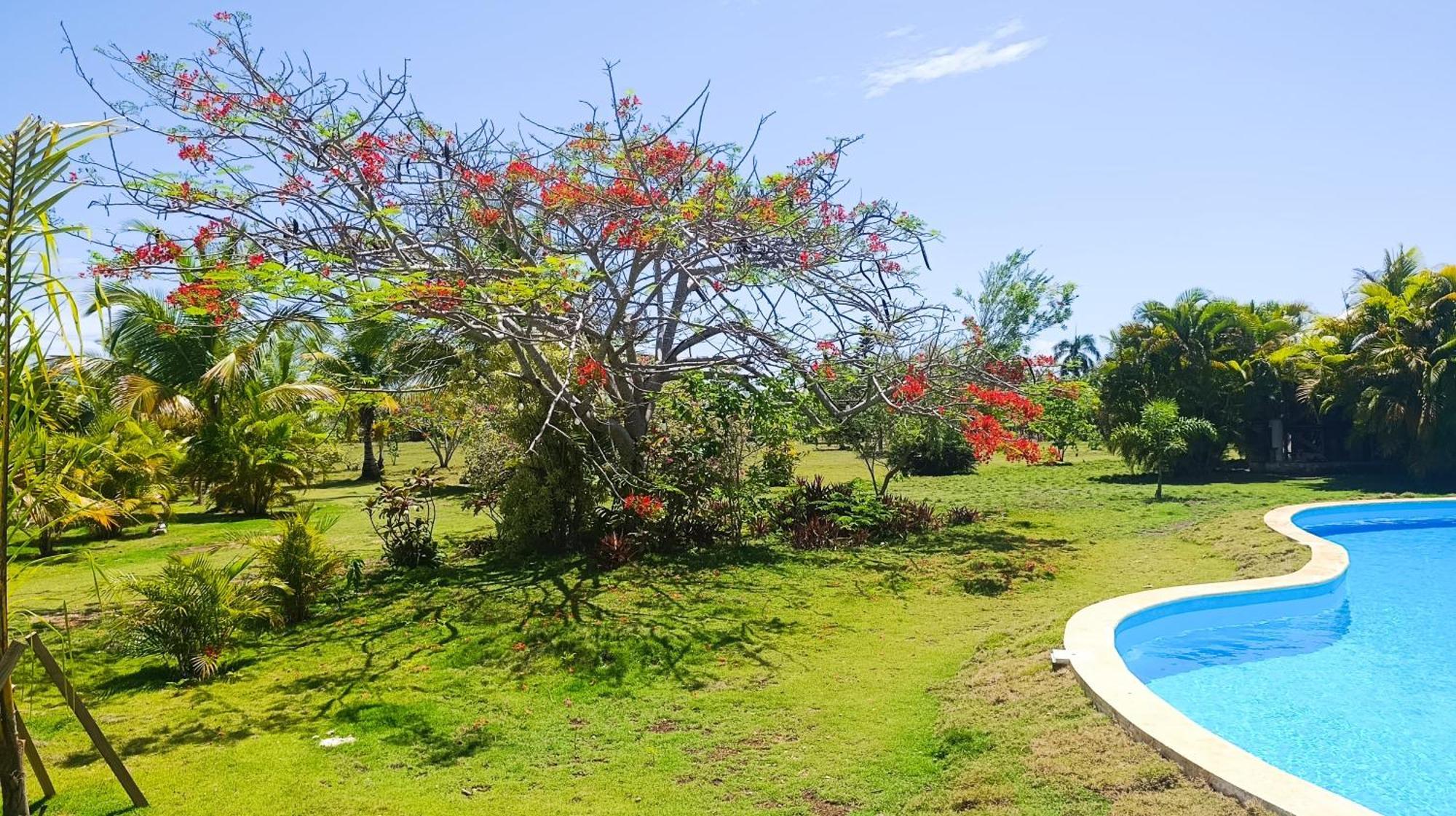 Lodge Lodges & Camping Macao Beach Bavaro Punta Cana Punta Cana